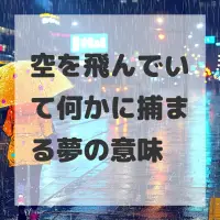 空を飛んでいて何かに捕まる夢のサムネイル