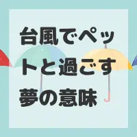 台風でペットと過ごす夢のサムネイル