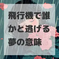 飛行機で誰かと逃げる夢のサムネイル