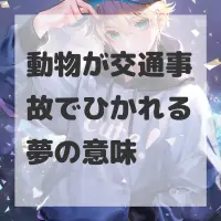 動物が交通事故でひかれる夢のサムネイル