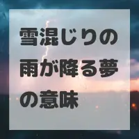 雪混じりの雨が降る夢のサムネイル
