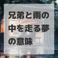 兄弟と雨の中を走る夢のサムネイル