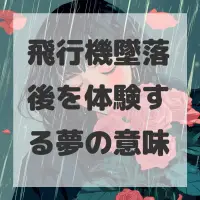 飛行機墜落後を体験する夢のサムネイル