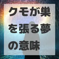 クモが巣を張る夢のサムネイル
