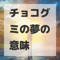 チョコグミの夢のサムネイル