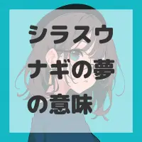 シラスウナギの夢のサムネイル画像