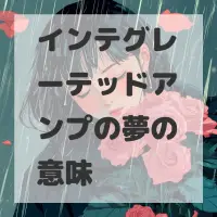 インテグレーテッドアンプの夢のサムネイル