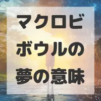 マクロビボウルの夢のサムネイル画像