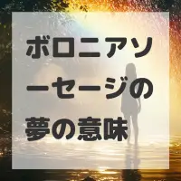 ボロニアソーセージの夢のサムネイル