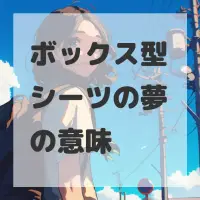 ボックス型シーツの夢のサムネイル