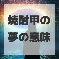 焼酎甲の夢のサムネイル画像