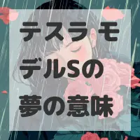 テスラ モデルSの夢のサムネイル