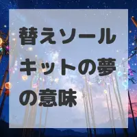替えソールキットの夢のサムネイル画像