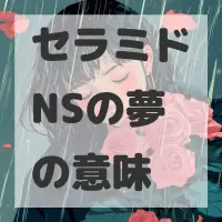 セラミドNSの夢のサムネイル画像