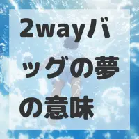2wayバッグの夢のサムネイル
