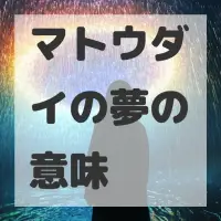 マトウダイの夢のサムネイル