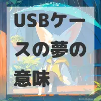 USBケースの夢のサムネイル