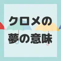 クロメの夢のサムネイル