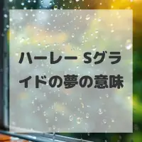 ハーレー Sグライドの夢のサムネイル