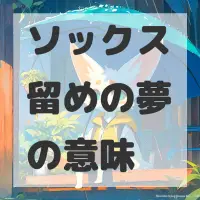 ソックス留めの夢のサムネイル画像