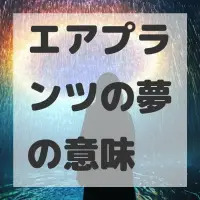 エアプランツの夢のサムネイル画像
