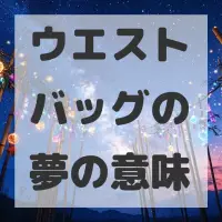 ウエストバッグの夢のサムネイル画像
