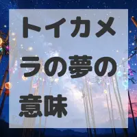 トイカメラの夢のサムネイル