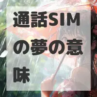 通話SIMの夢のサムネイル画像