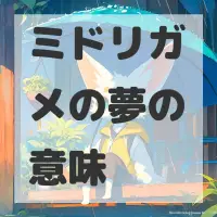 ミドリガメの夢のサムネイル画像