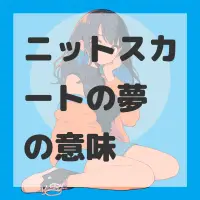 ニットスカートの夢のサムネイル画像