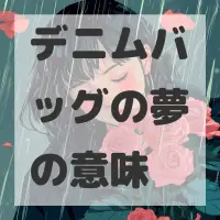 デニムバッグの夢のサムネイル画像