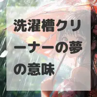 洗濯槽クリーナーの夢のサムネイル画像