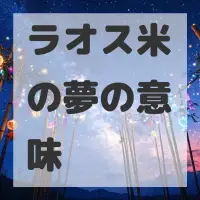 ラオス米の夢のサムネイル