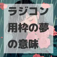 ラジコン用枠の夢のサムネイル画像