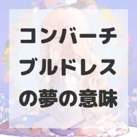 コンバーチブルドレスの夢のサムネイル画像