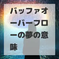 バッファオーバーフローの夢のサムネイル