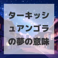 ターキッシュアンゴラの夢のサムネイル画像