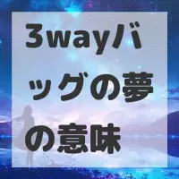 3wayバッグの夢のサムネイル