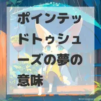 ポインテッドトゥシューズの夢のサムネイル