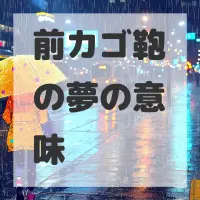 前カゴ鞄の夢のサムネイル