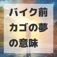 バイク前カゴの夢のサムネイル画像