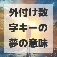 外付け数字キーの夢のサムネイル画像
