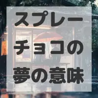 スプレーチョコの夢のサムネイル画像