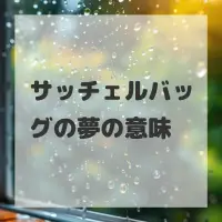 サッチェルバッグの夢のサムネイル画像