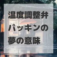 温度調整弁パッキンの夢のサムネイル画像