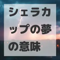シェラカップの夢のサムネイル画像