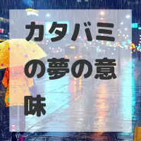 カタバミの夢のサムネイル画像