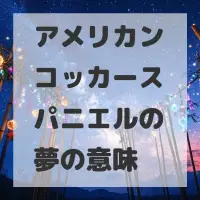 アメリカンコッカースパニエルの夢のサムネイル画像