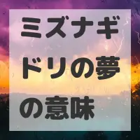 ミズナギドリの夢のサムネイル画像