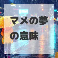 マメの夢のサムネイル